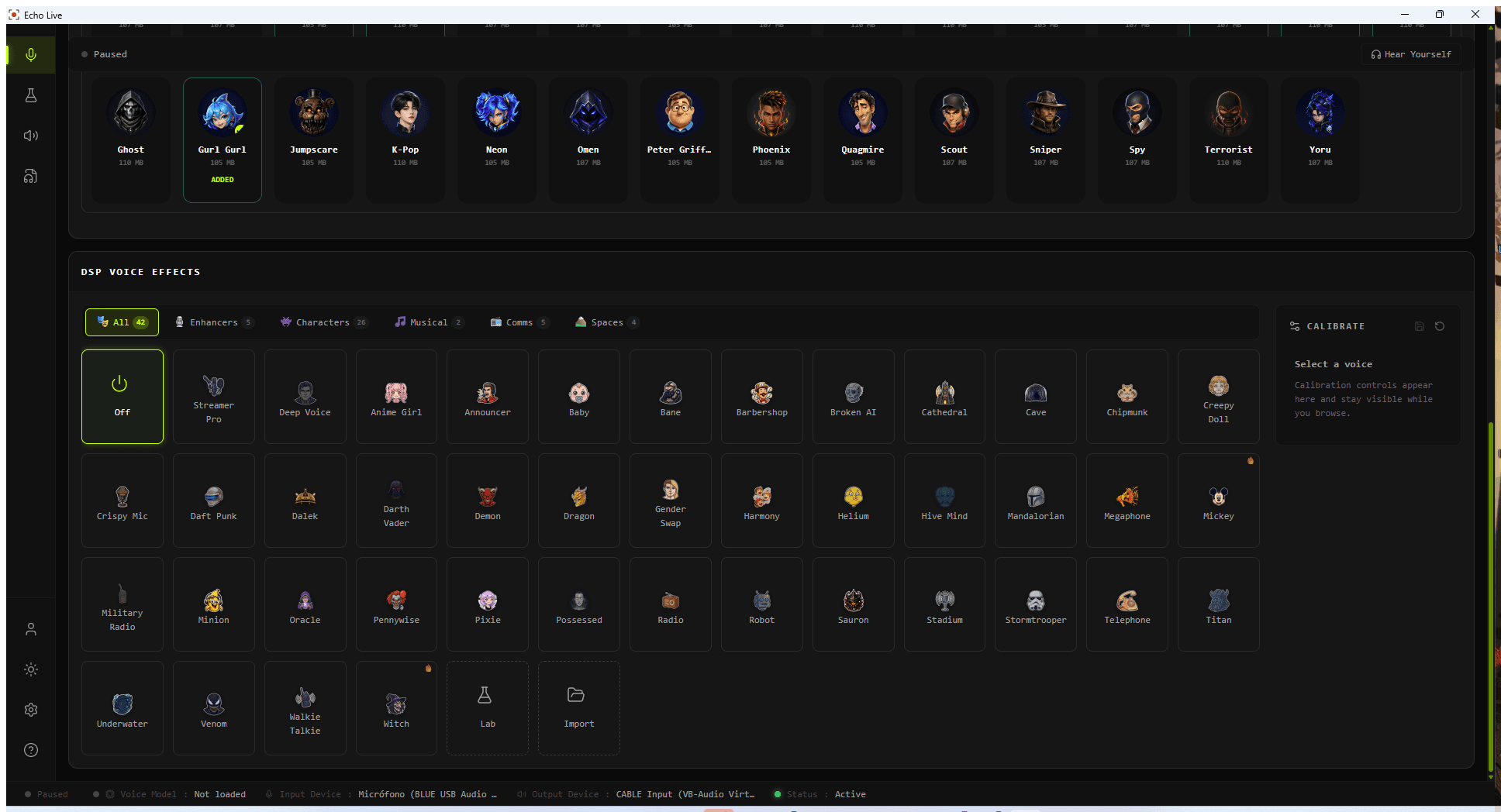 Echo Live AI and DSP voice libraries